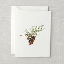 evergreen notecard set