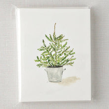 evergreen notecard set