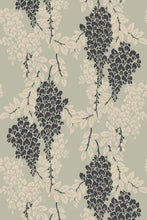 Wisteria