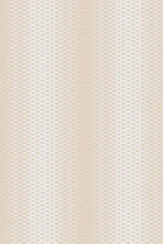 Lattice