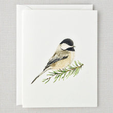 evergreen notecard set