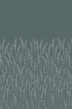 Feather Grass