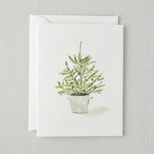 evergreen notecard set