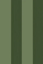 Broad Stripe