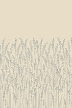 Feather Grass