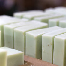 Planet Botanicals - Seaweed Bar Soap