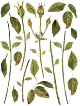 IOD PAINTERLY FLORALS EIGHT 12×16 SHEETS DECOR TRANSFER™