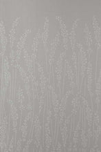 Feather Grass