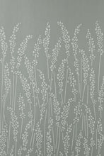 Feather Grass
