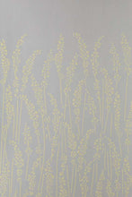 Feather Grass