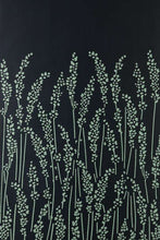 Feather Grass