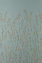 Feather Grass