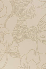 Helleborus