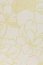 Helleborus