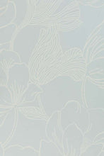 Helleborus