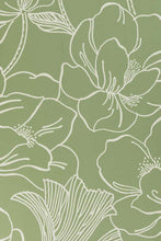 Helleborus