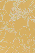 Helleborus