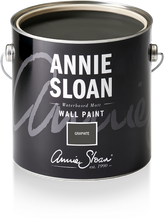 Graphite Wall Paint