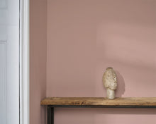 Piranesi Pink Wall Paint