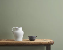 Terre Verte Wall Paint