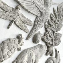 Dewdrop Pond  6×10 DECOR MOULDS™