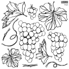 GRAPES 12×12 DECOR STAMP™ (RETIRED 2022)