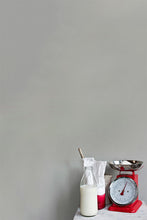 Paris Grey Wall Paint