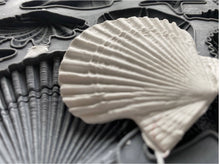 IOD Decor Mould "Sea Shells"
