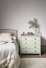 Annie Sloan Chalk Paint - Coolabah Green
