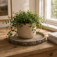 Vagabond Vintage - Cement Log Dish