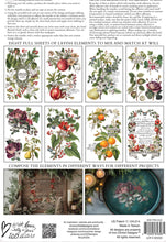 CLEMENTINE IOD TRANSFER™ EIGHT 8" X 12" SHEETS