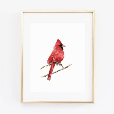 emily lex studio - Cardinal art print