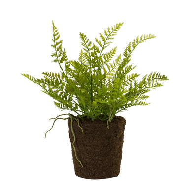 Potted Fern Bush 15” H