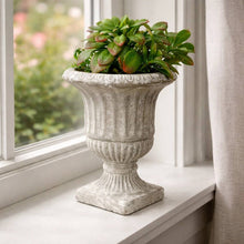 Vagabond Vintage - CEMENT URN PLANTER: Small