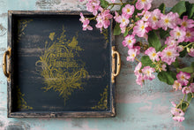 Bookish IOD 6" × 10" Decor Moulds™