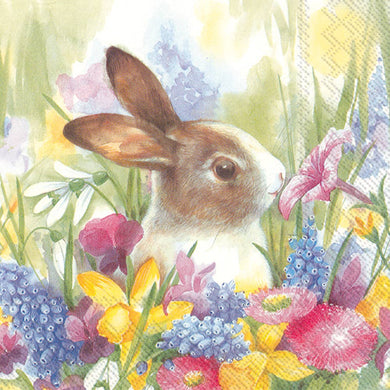 Paper Cocktail Napkin Pack of 20 Ruby In The Meadow Easter