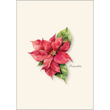 Poinsettia