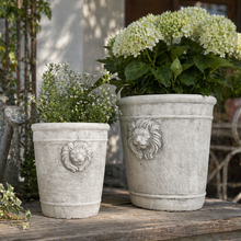 Vagabond Vintage - Cement Lion Planter: Large