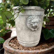Vagabond Vintage - Cement Lion Planter: Large