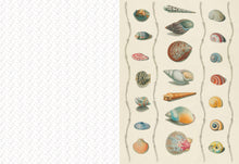 Chronicle Books - Collage Compendium