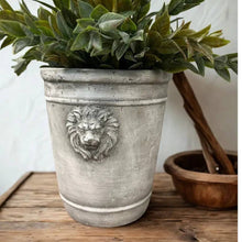 Vagabond Vintage - Cement Lion Planter: Medium
