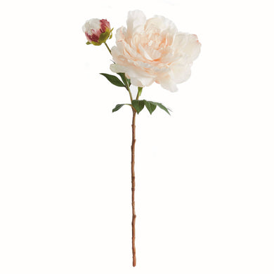 Peony Stem 21