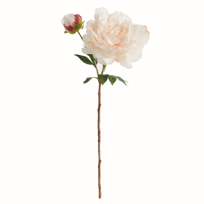 Napa Home & Garden - Peony Stem 21