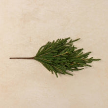 Ragon House - 18" SOFT TOUCH NORFOLK PINE PICK