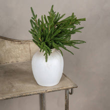 Ragon House - 18" SOFT TOUCH NORFOLK PINE PICK