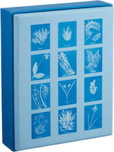 Chronicle Books - Sunprint Notecards