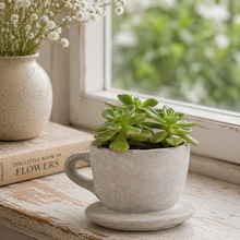 Vagabond Vintage - Concrete "Tea & Coffee" Cup Planter