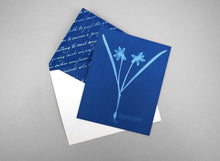 Chronicle Books - Sunprint Notecards