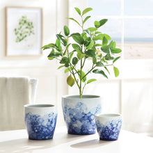 Napa Home & Garden - Ripple Pots, Set Of 3