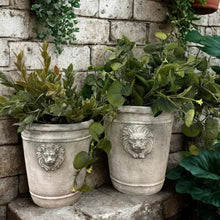 Vagabond Vintage - Cement Lion Planter: Large